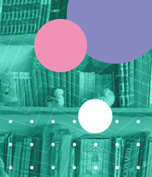 widget image